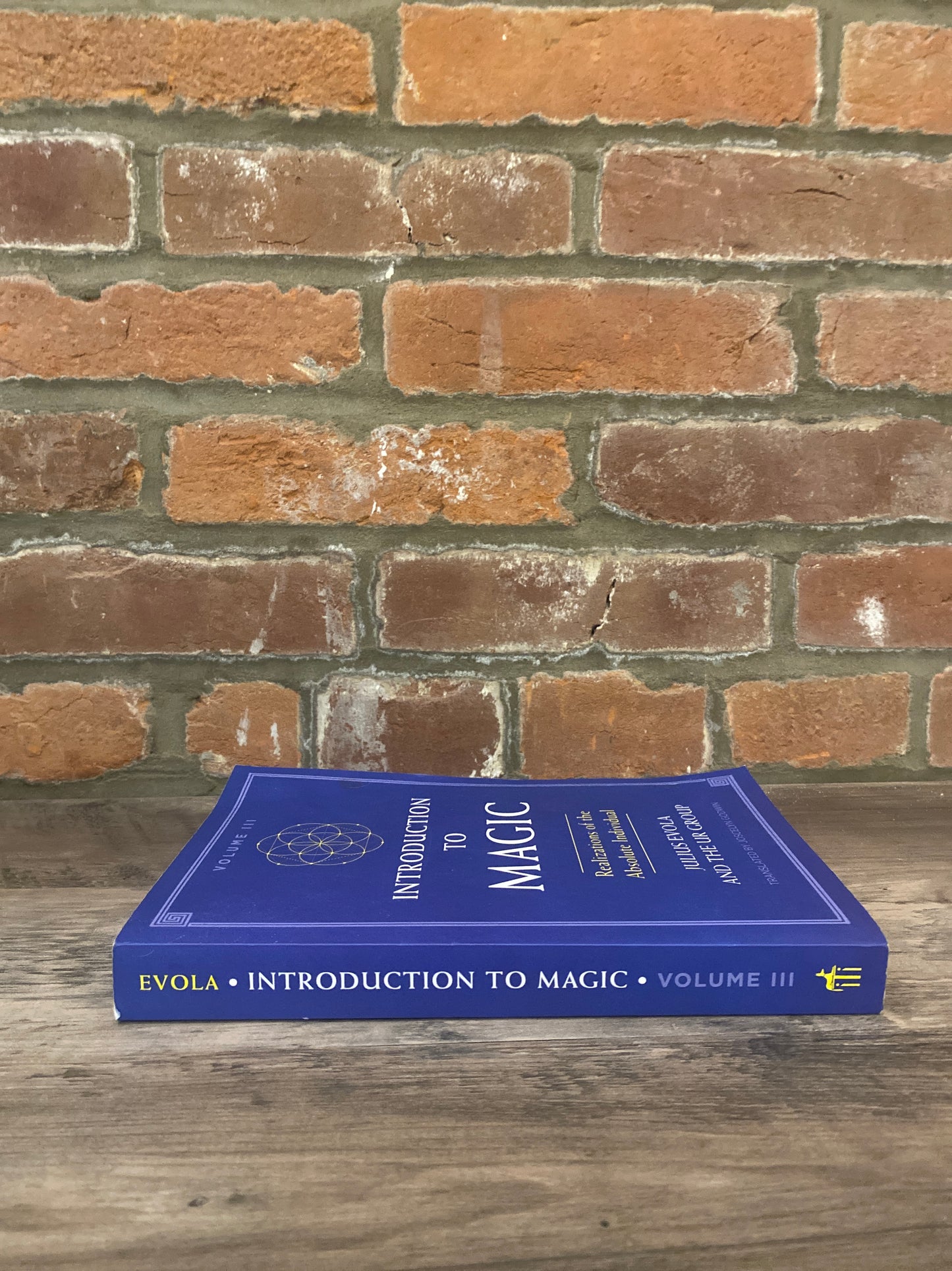 Introduction to Magic Vol. III by Julius Evola