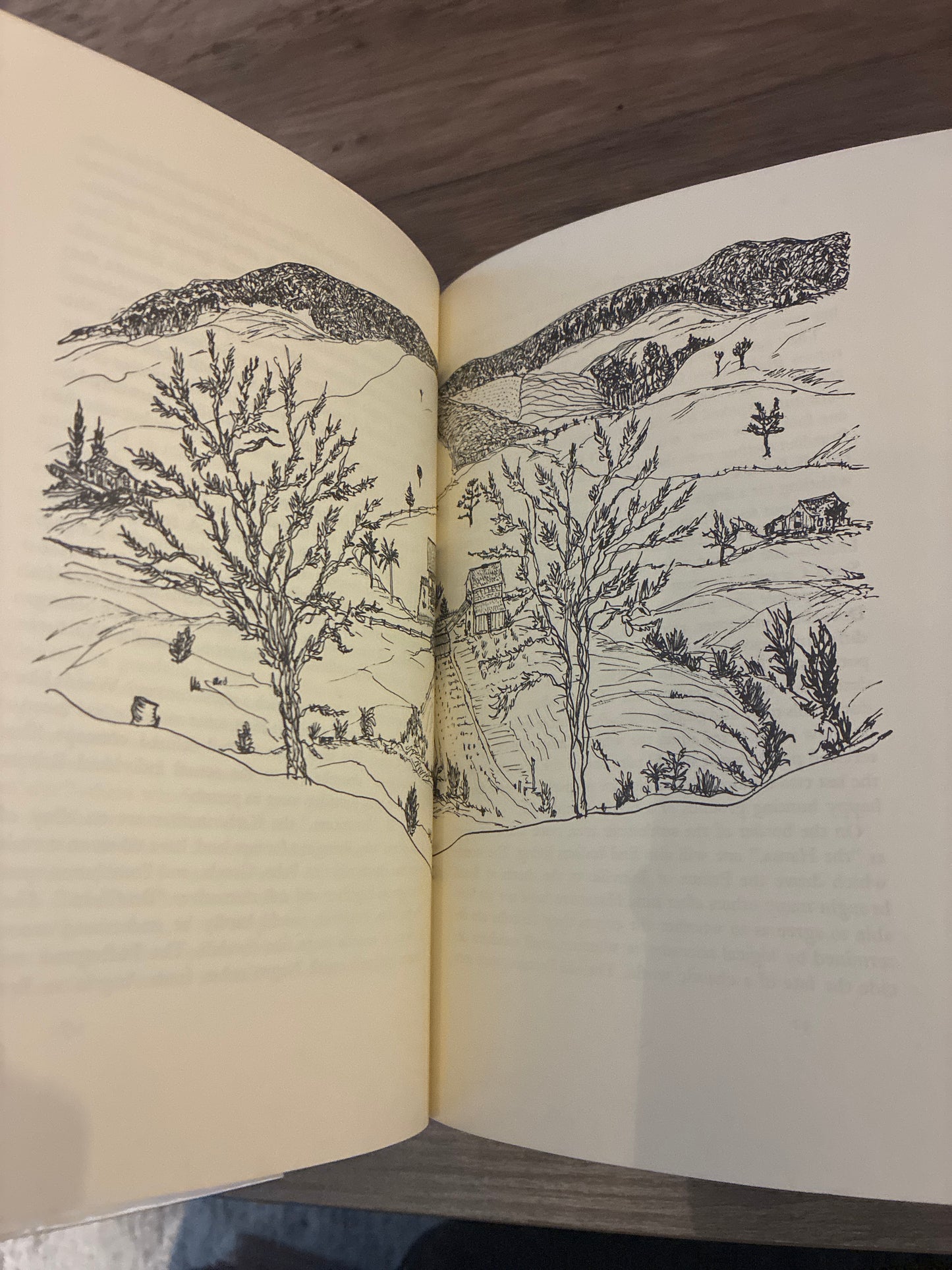The Valley of the Latin Bear by Alexander Lenard