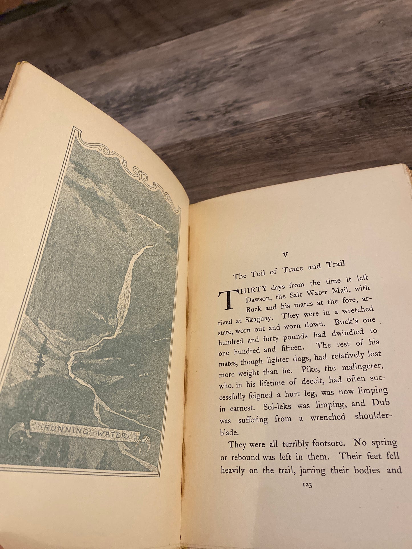 The Call of The Wild by Jack London