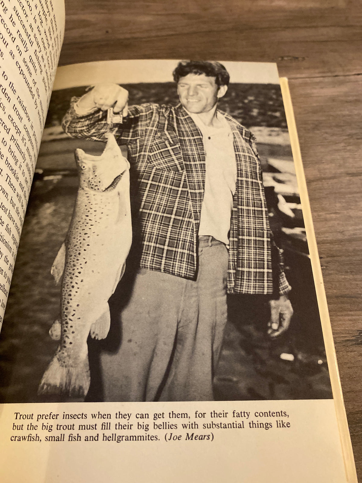 Trout Fishing by Ted Kesting