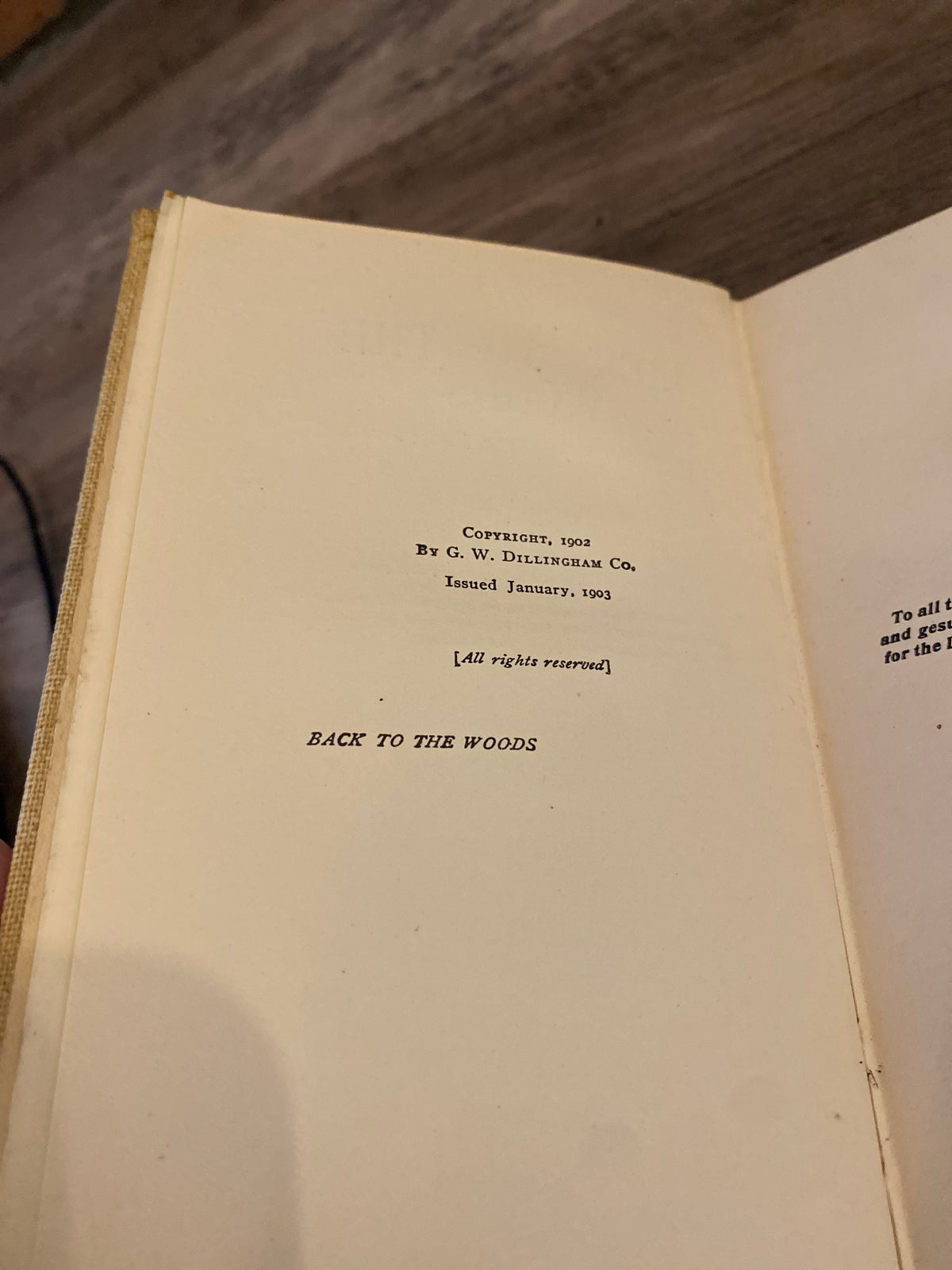 Back To The Woods by Hugh McHugh