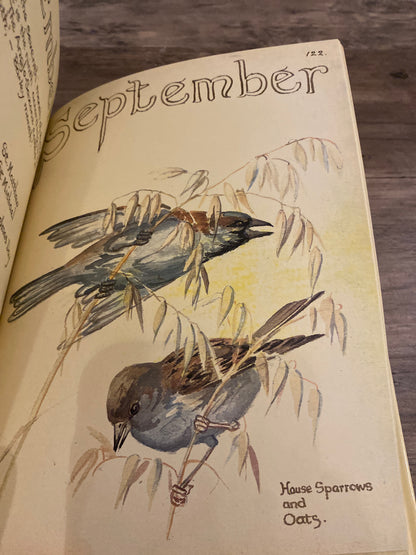 The Country Diary Of An Edwardian Lady by Edith Holden