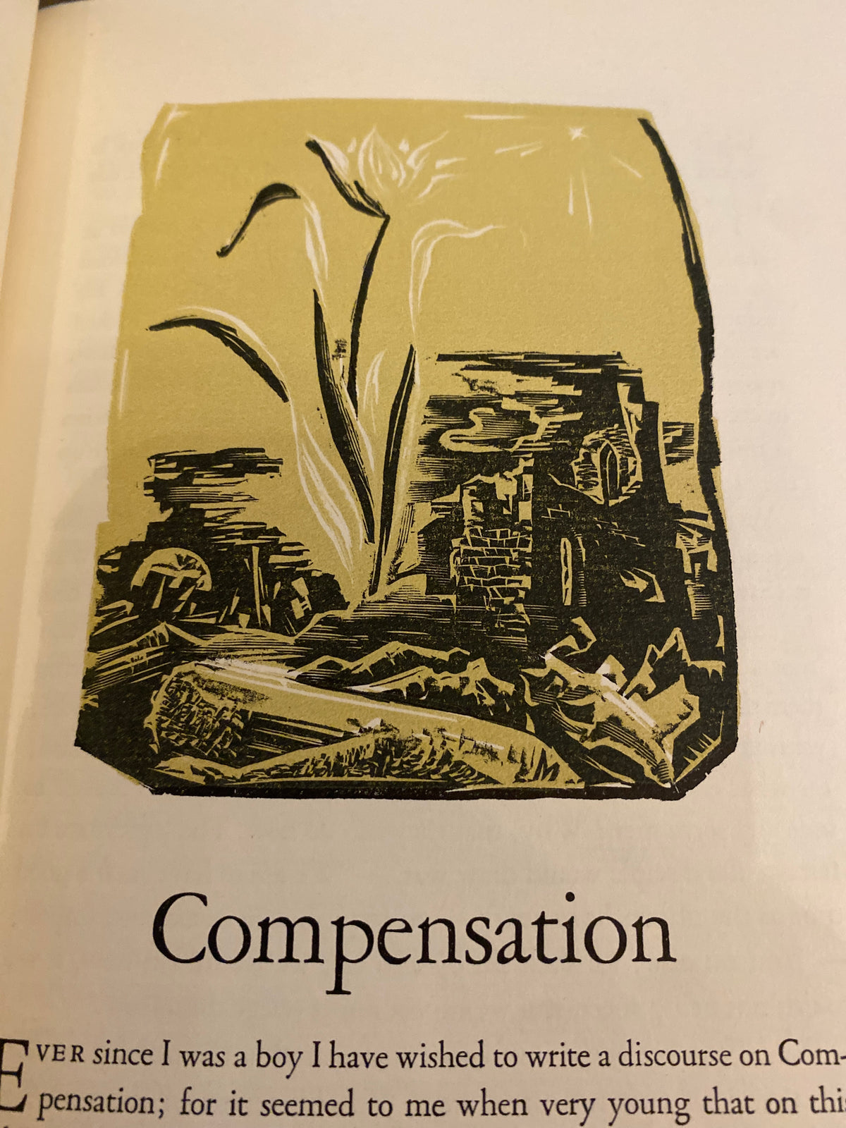 R. Waldo Emerson Essays First And Second Series