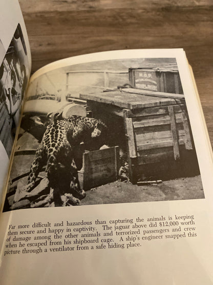 The Wildest Game by Peter Ryhiner