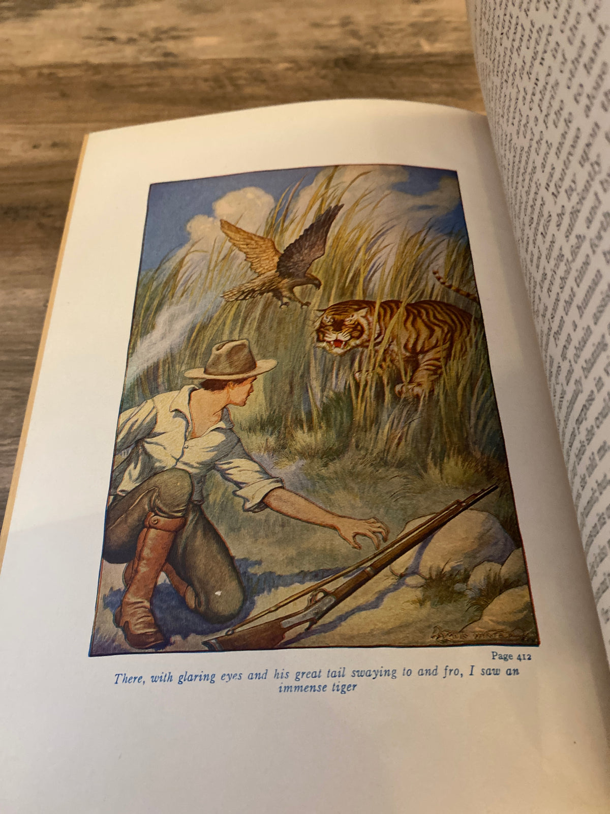 The Swiss Family Robinson by Johann Rudolph Wyss