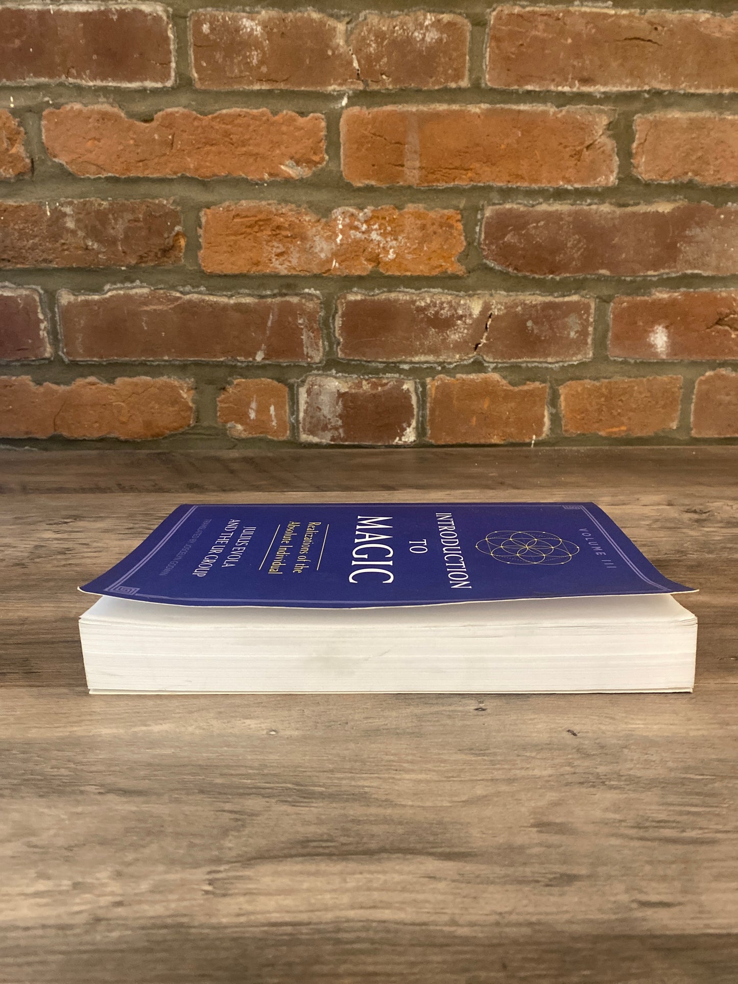 Introduction to Magic Vol. III by Julius Evola