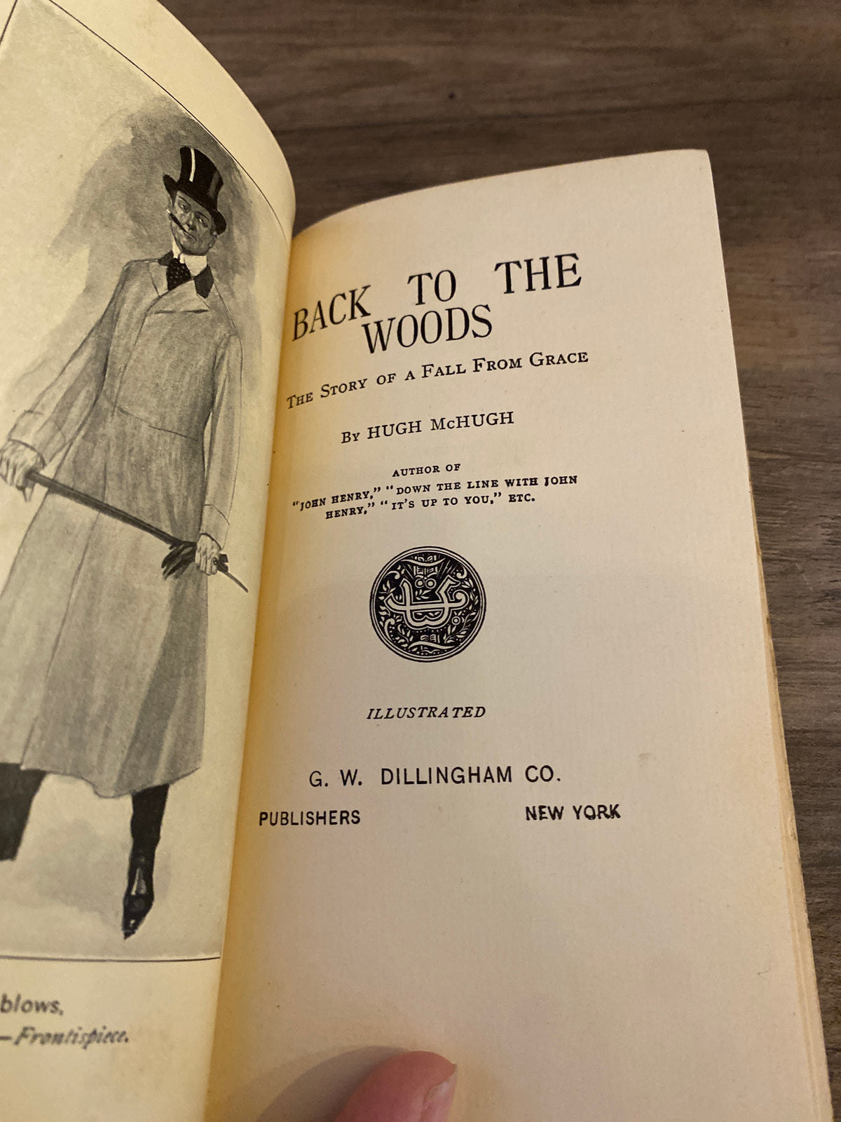 Back To The Woods by Hugh McHugh