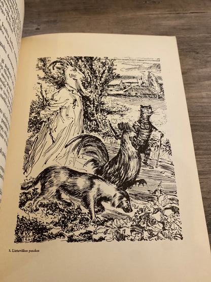 Lithuanian Fairy Tales by Dr. Jonas Balys