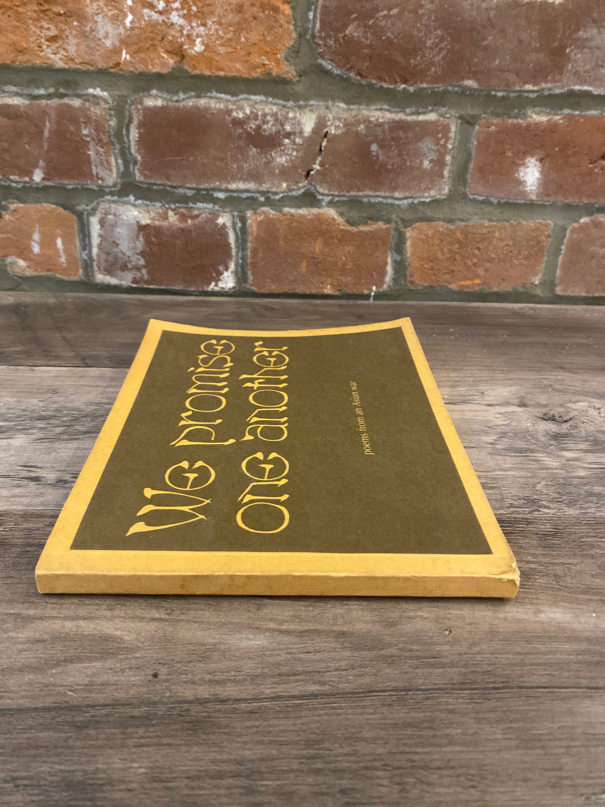 We Promise One Another Poetry Collection