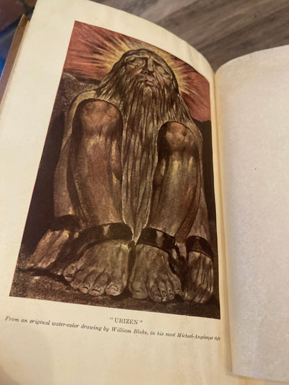 A Magnificent Farce by A. Edward Newton