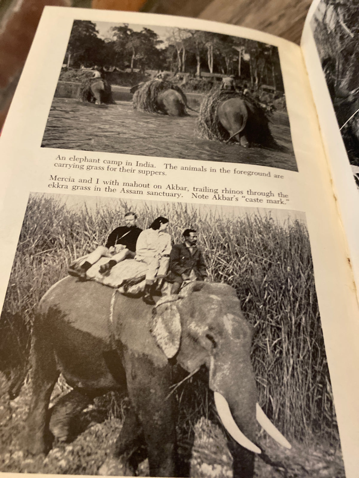The Wildest Game by Peter Ryhiner