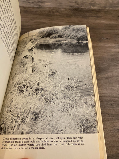 Trout Fishing by Ted Kesting