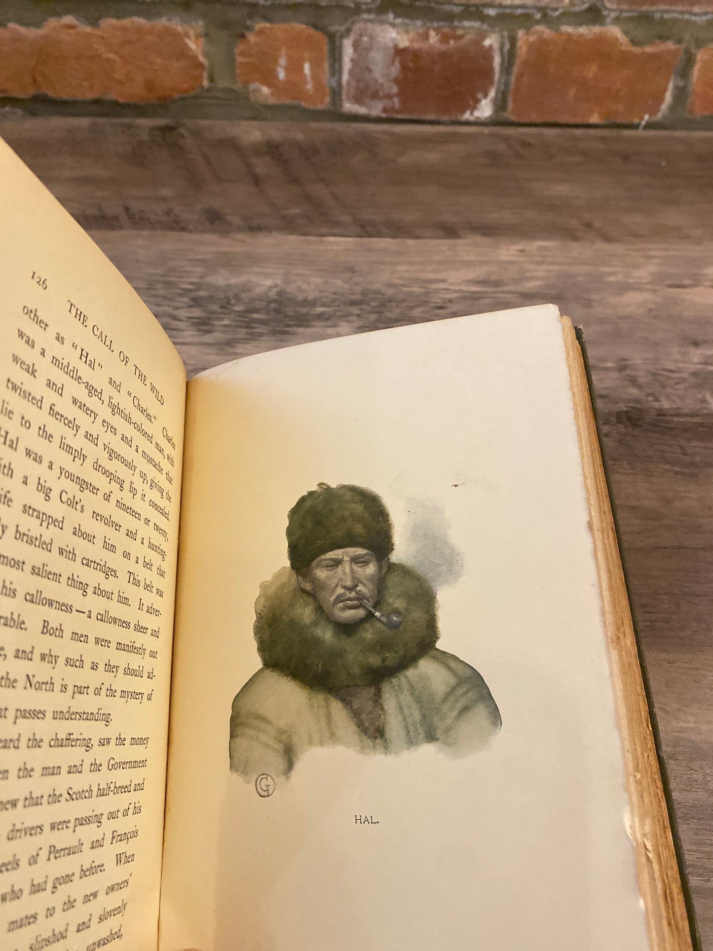The Call of The Wild by Jack London