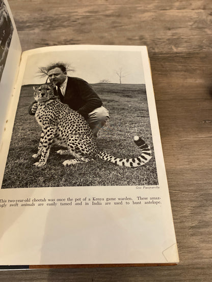 The Wildest Game by Peter Ryhiner