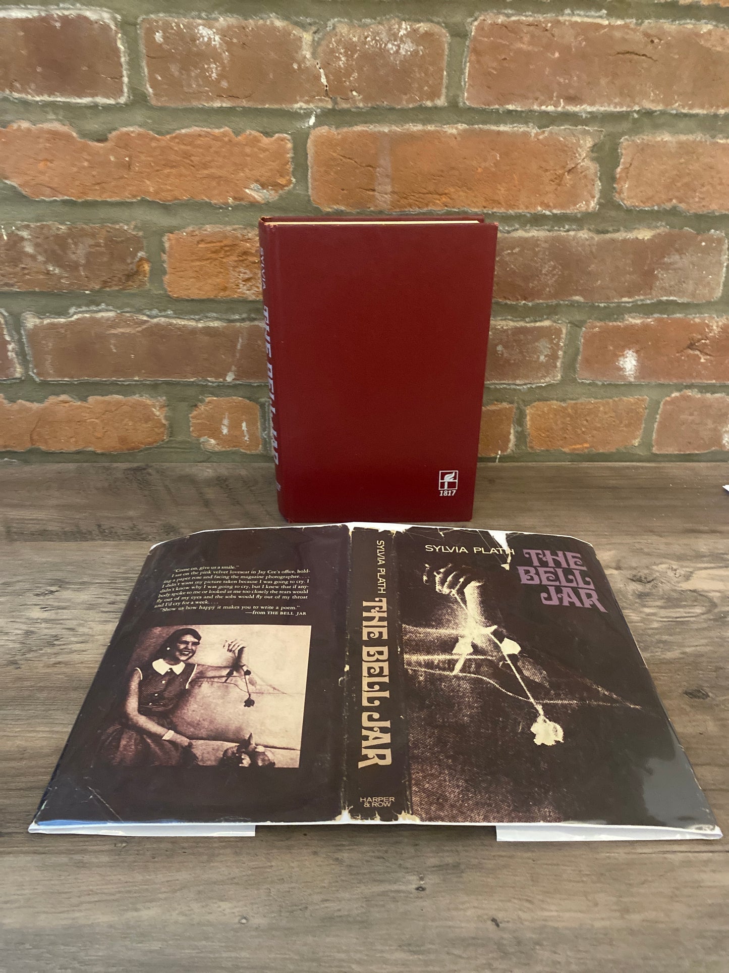 The Bell Jar by Sylvia Plath