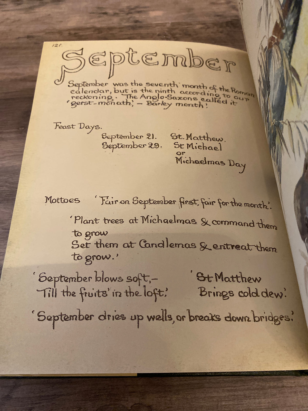 The Country Diary Of An Edwardian Lady by Edith Holden