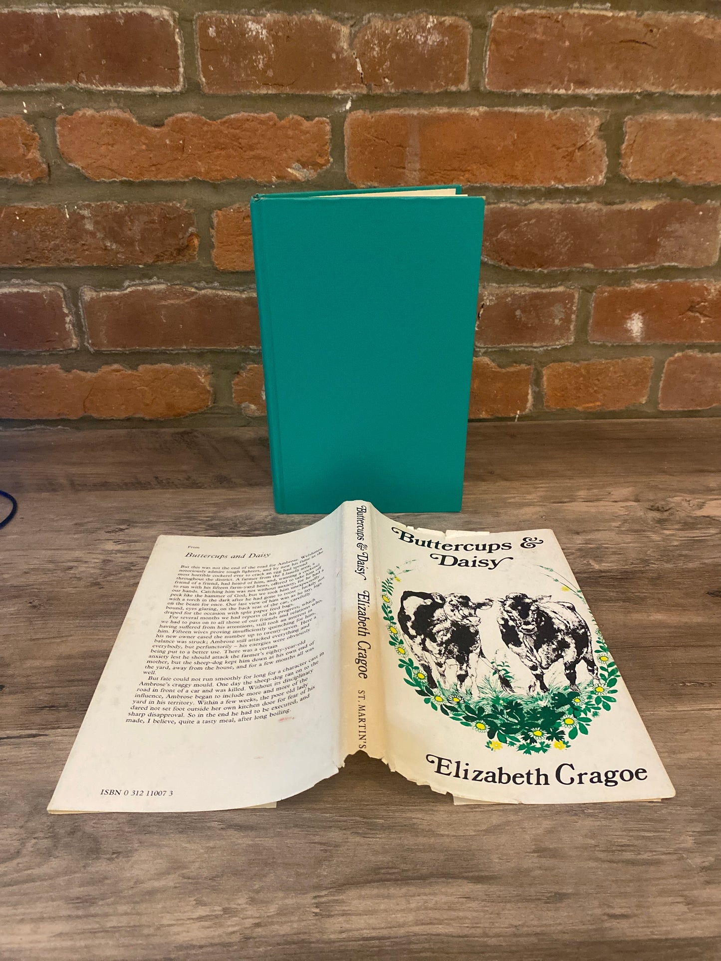 Buttercups and Daisy by Elizabeth Cragoe