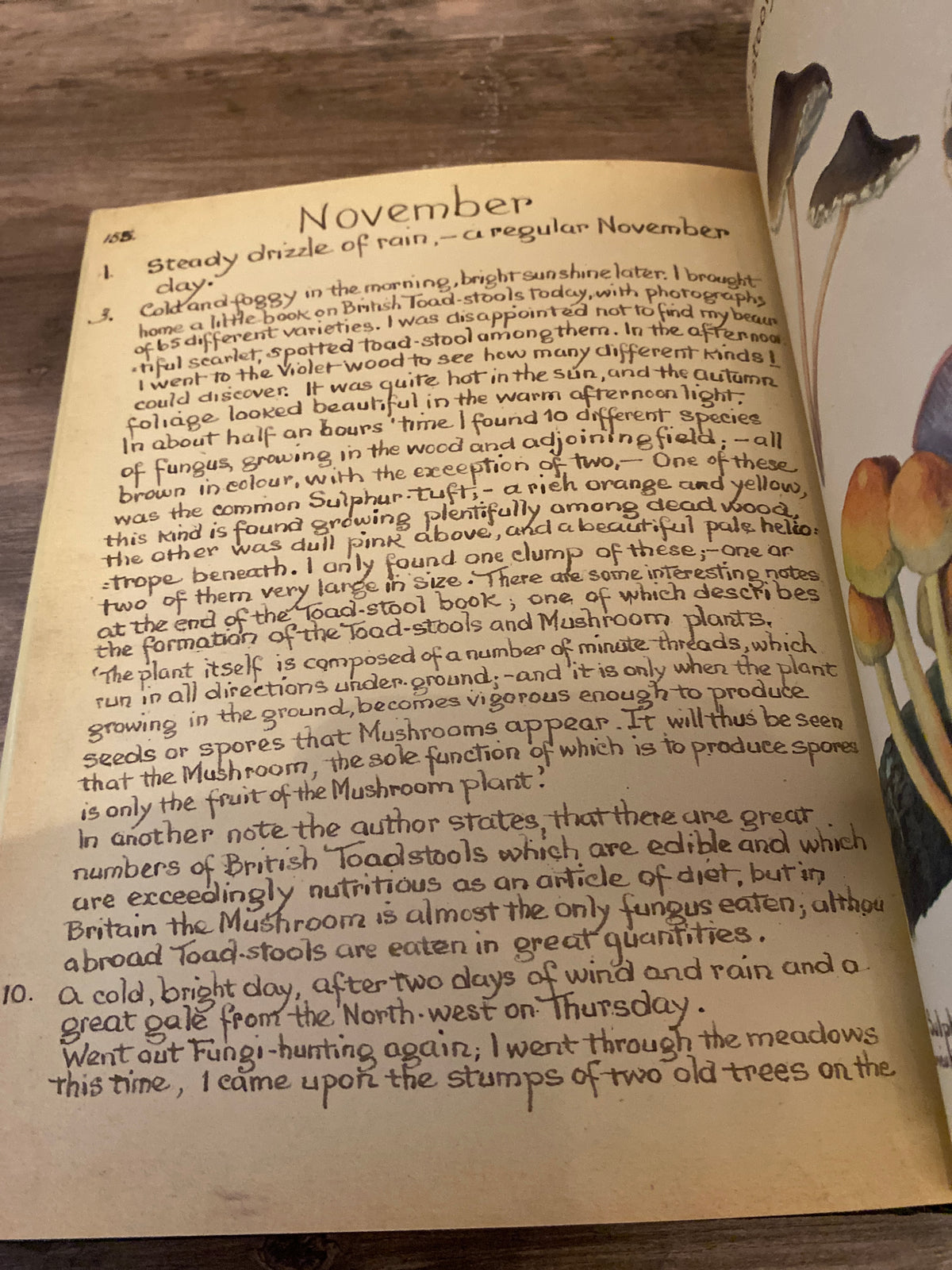 The Country Diary Of An Edwardian Lady by Edith Holden