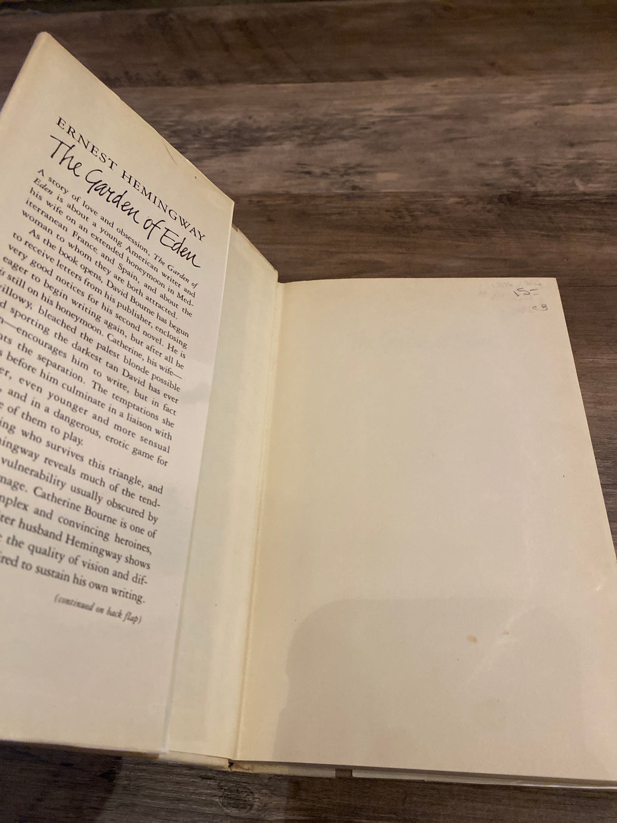 The Garden of Eden by Ernest Hemingway