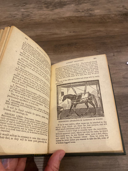 Dr. Chase’s Recipes by A.W. Chase