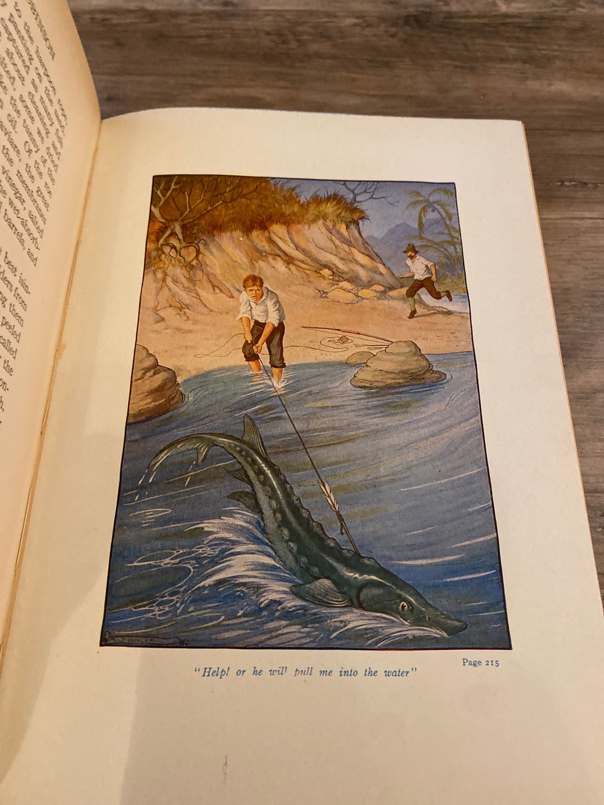 The Swiss Family Robinson by Johann Rudolph Wyss
