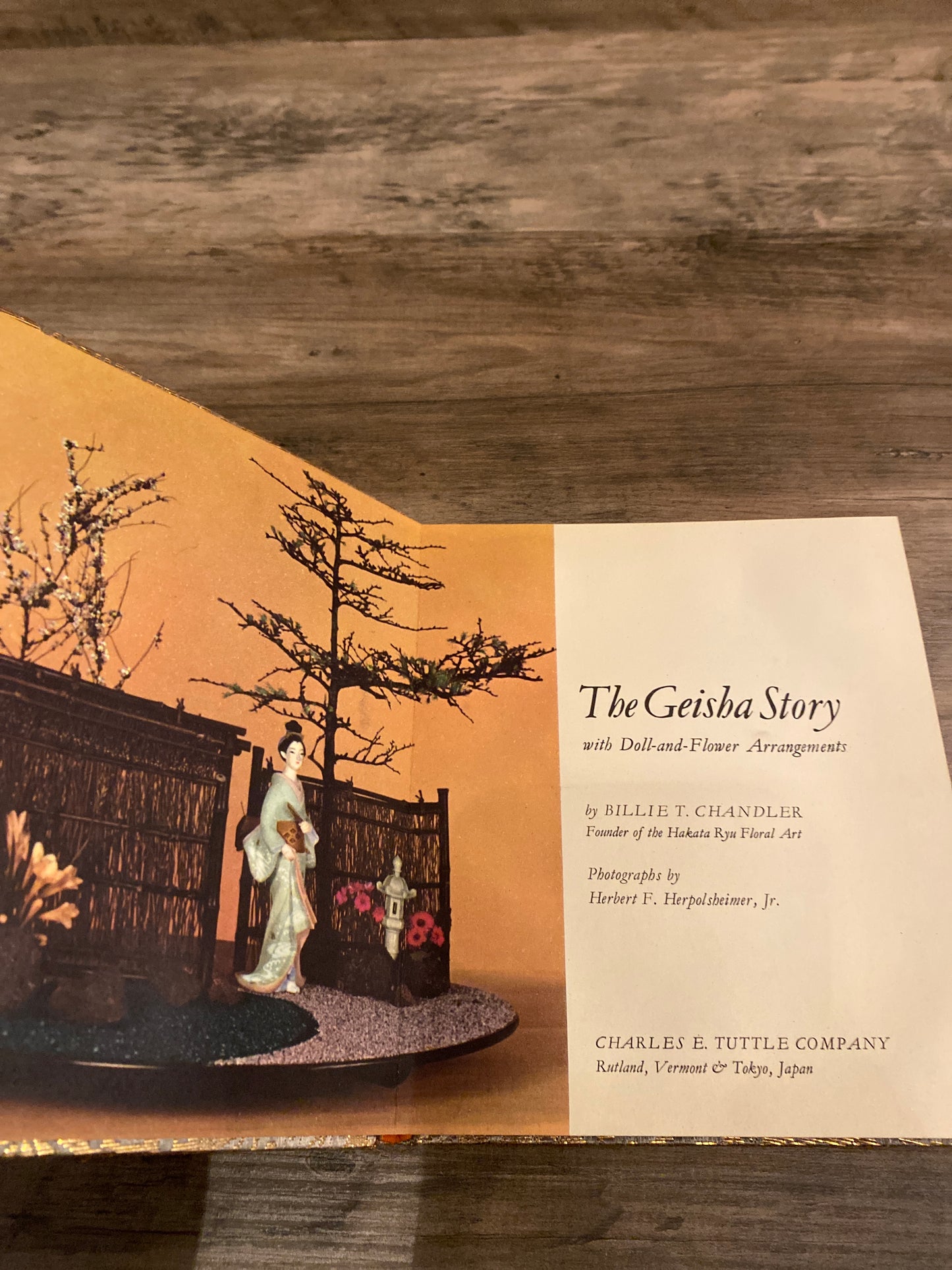 The Geisha Story by Billie T. Chandler