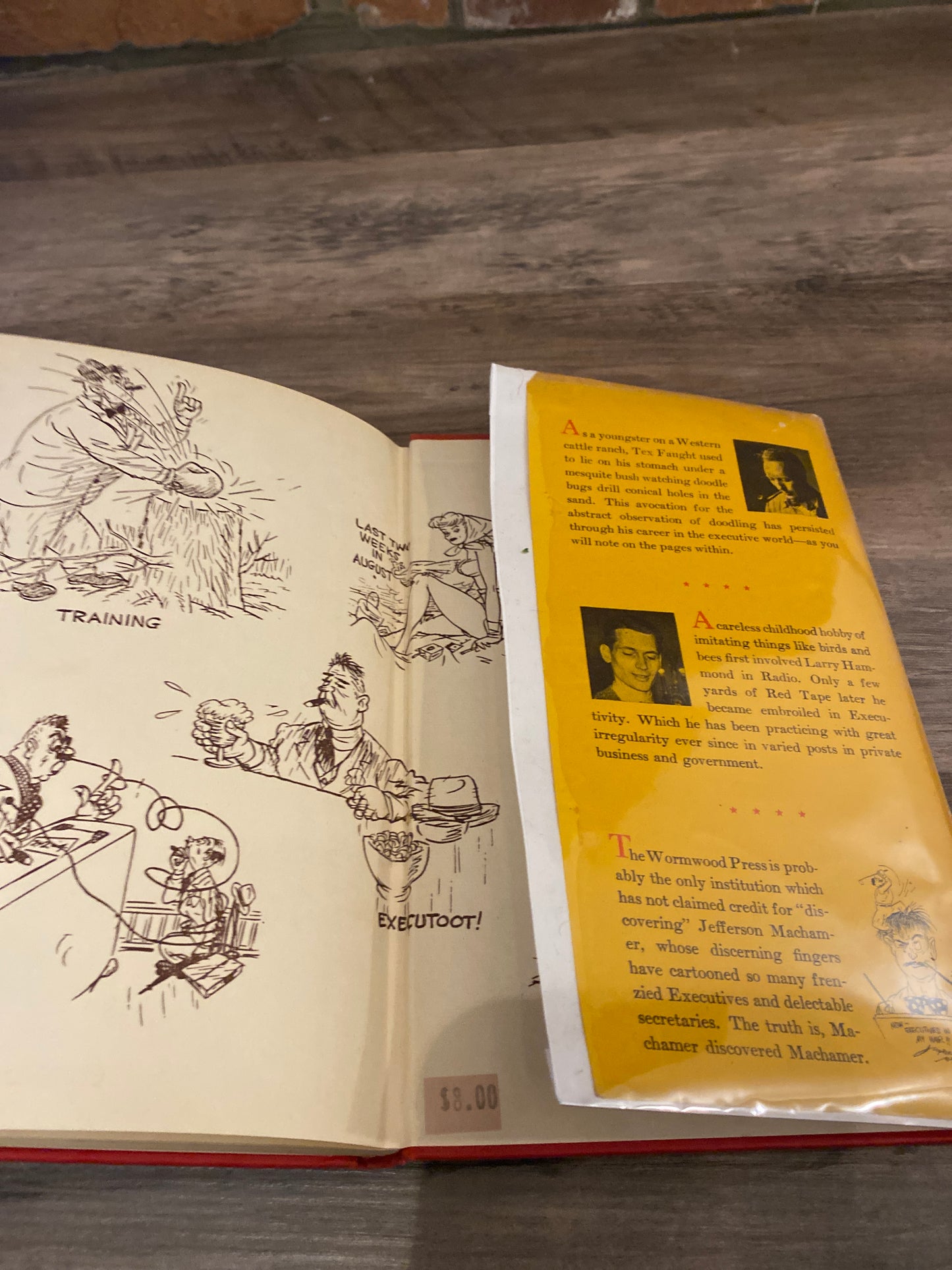 The Care and Feeding of Executives by Millard C. Faught and Laurence Hammond