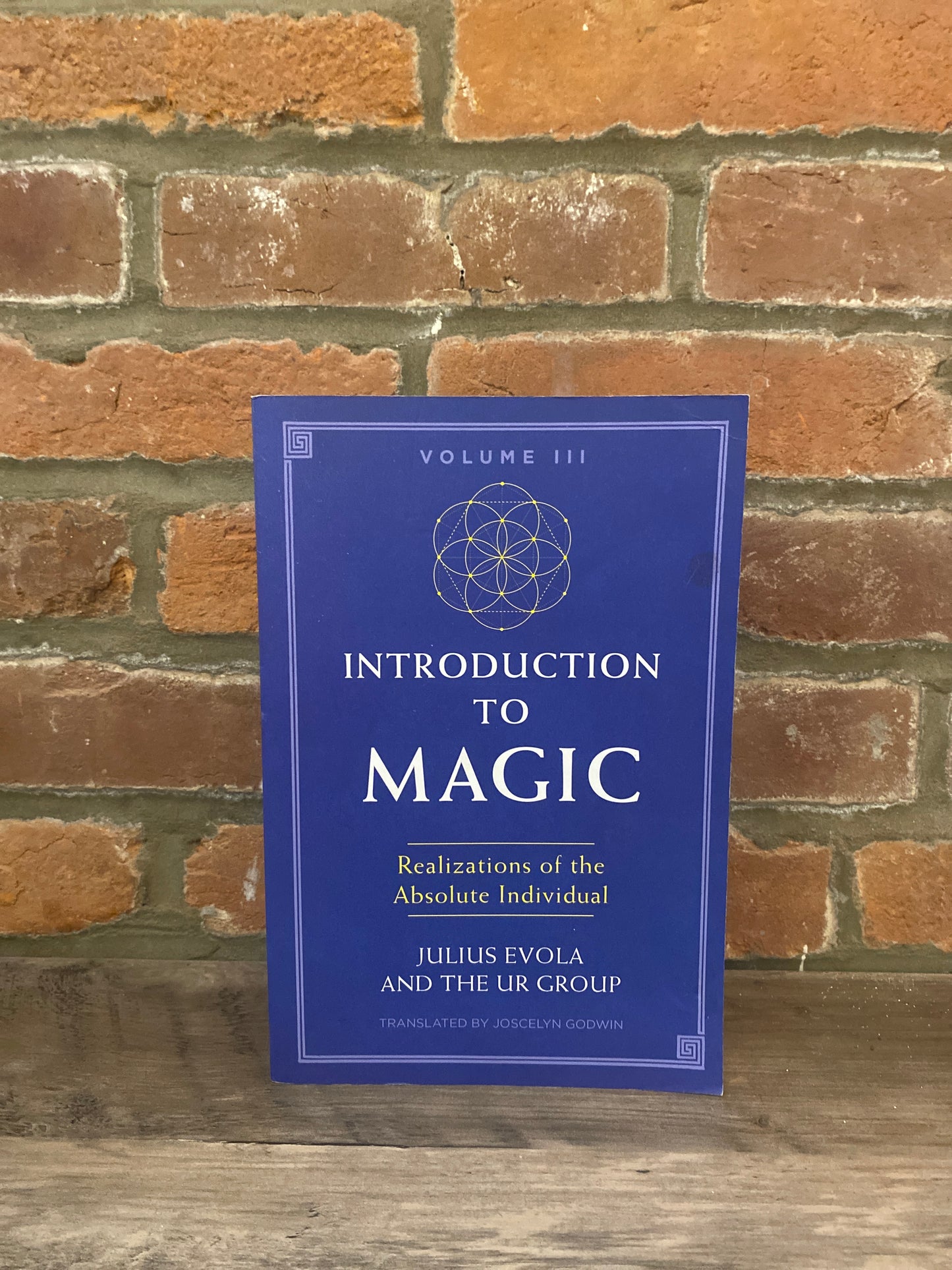 Introduction to Magic Vol. III by Julius Evola