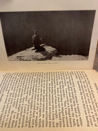 Tales Of Lonely Trails by Zane Grey