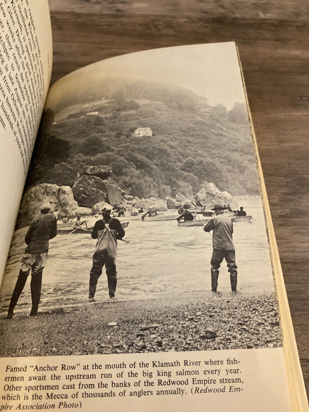 Trout Fishing by Ted Kesting