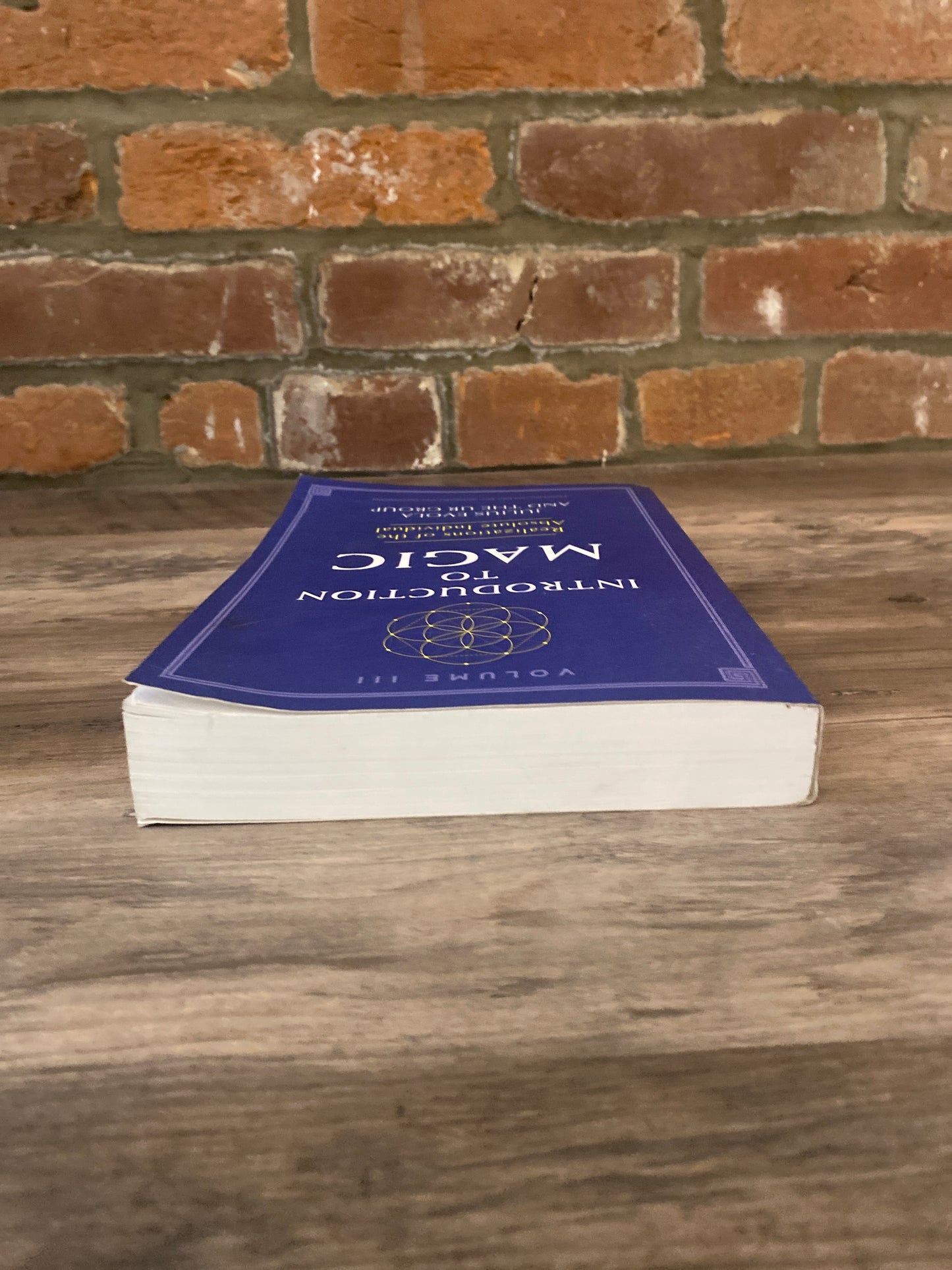 Introduction to Magic Vol. III by Julius Evola