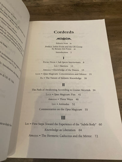 Introduction to Magic Vol. I by Julius Evola