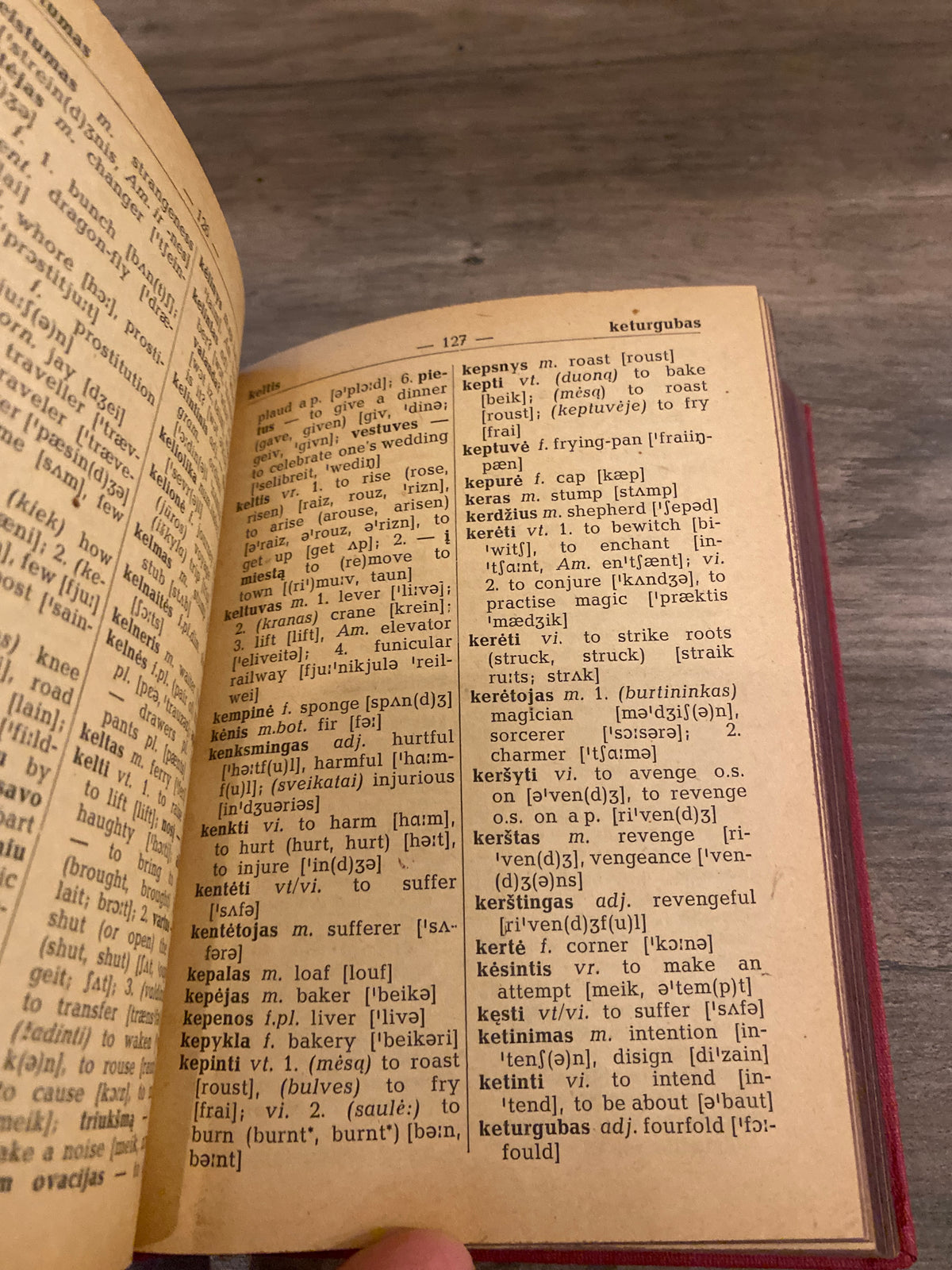 Lithuanian English Dictionary