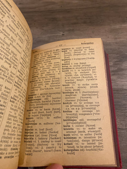 Lithuanian English Dictionary