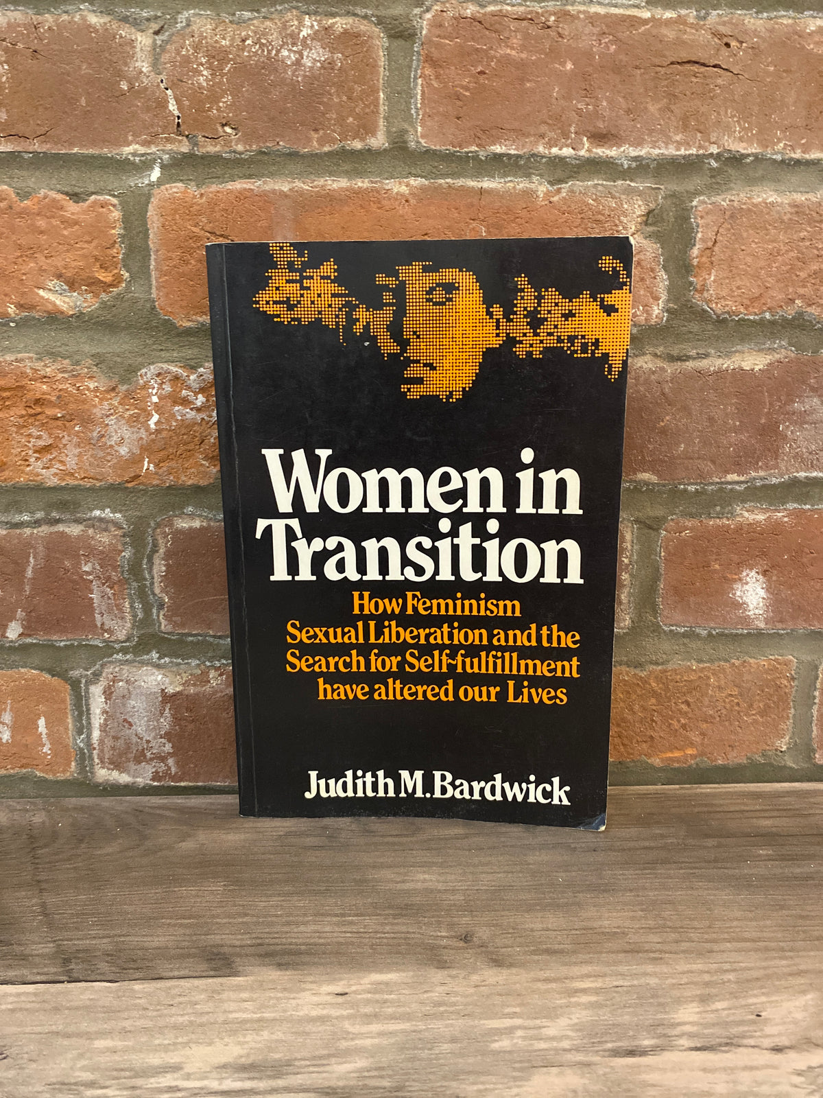 Women In Transition by Judith M. Bardwick
