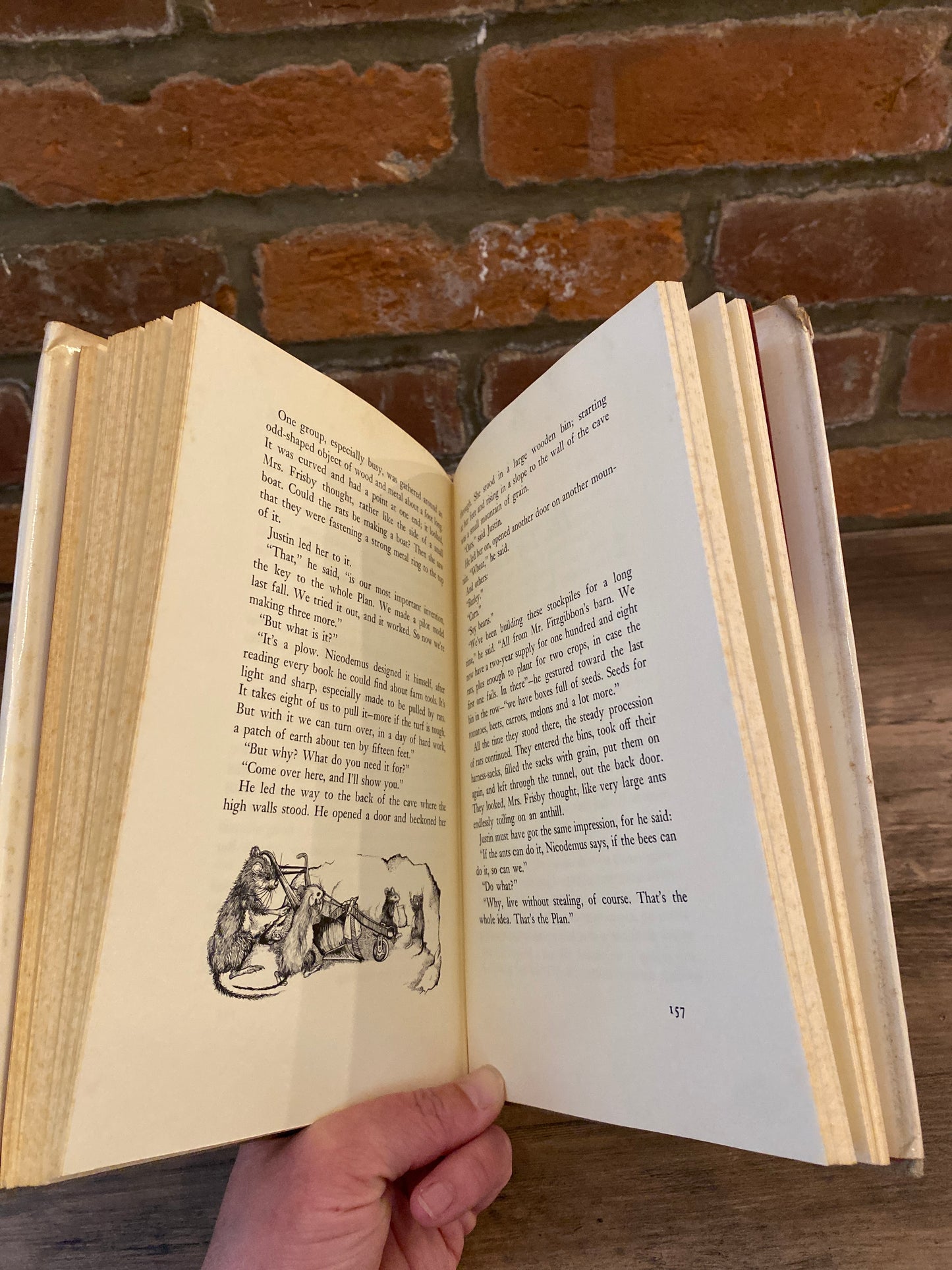Mrs. Frisby and the Rats of Nimh by Robert C. O’Brien