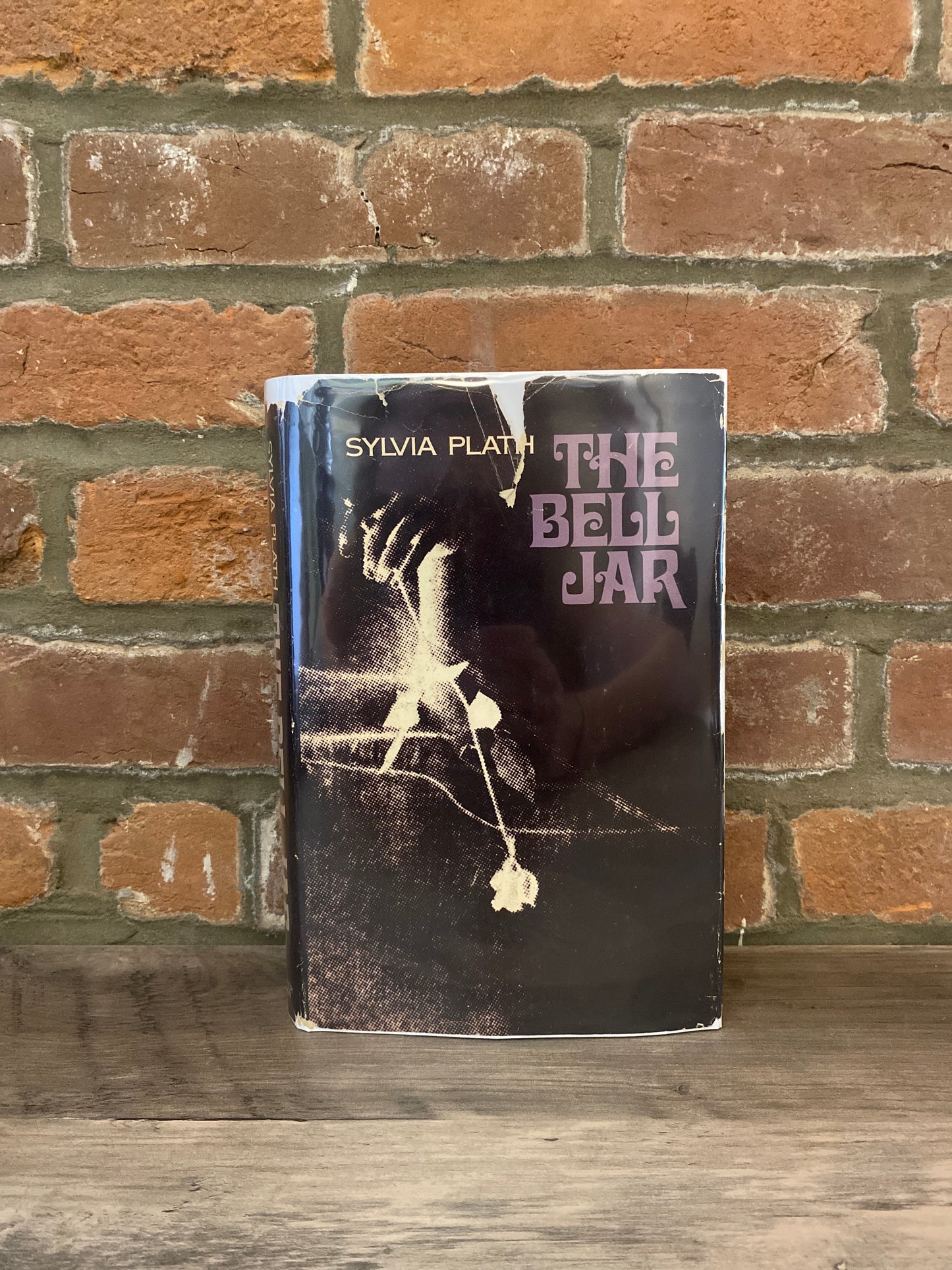 The Bell Jar by Sylvia Plath