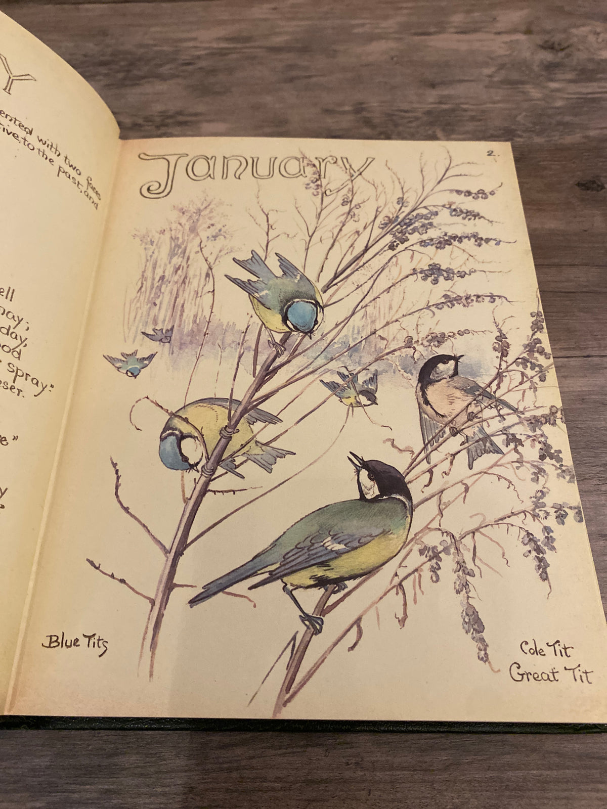 The Country Diary Of An Edwardian Lady by Edith Holden
