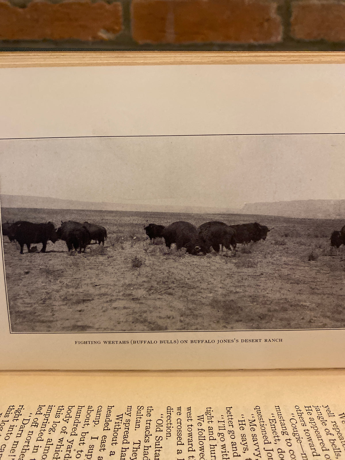 Tales Of Lonely Trails by Zane Grey