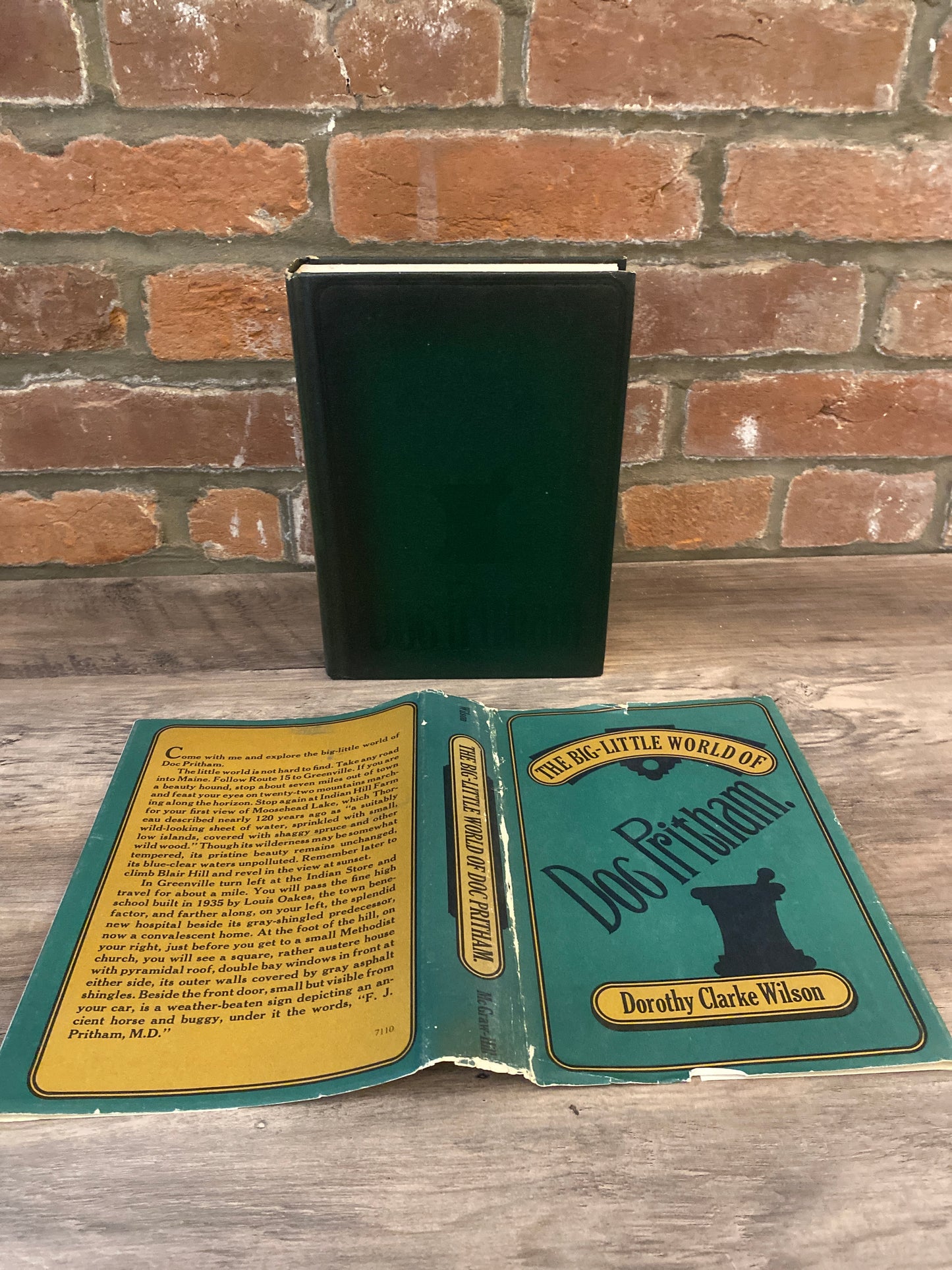 The Big-Little World of Doc Pritham by Dorothy Clarke Wilson