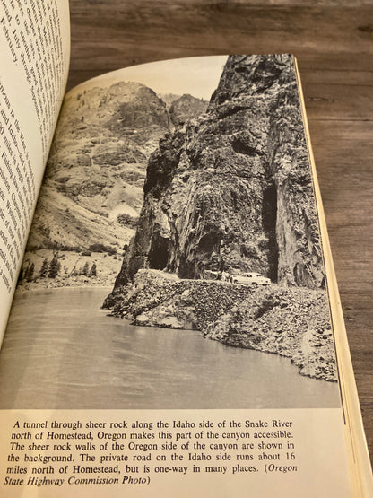 Trout Fishing by Ted Kesting