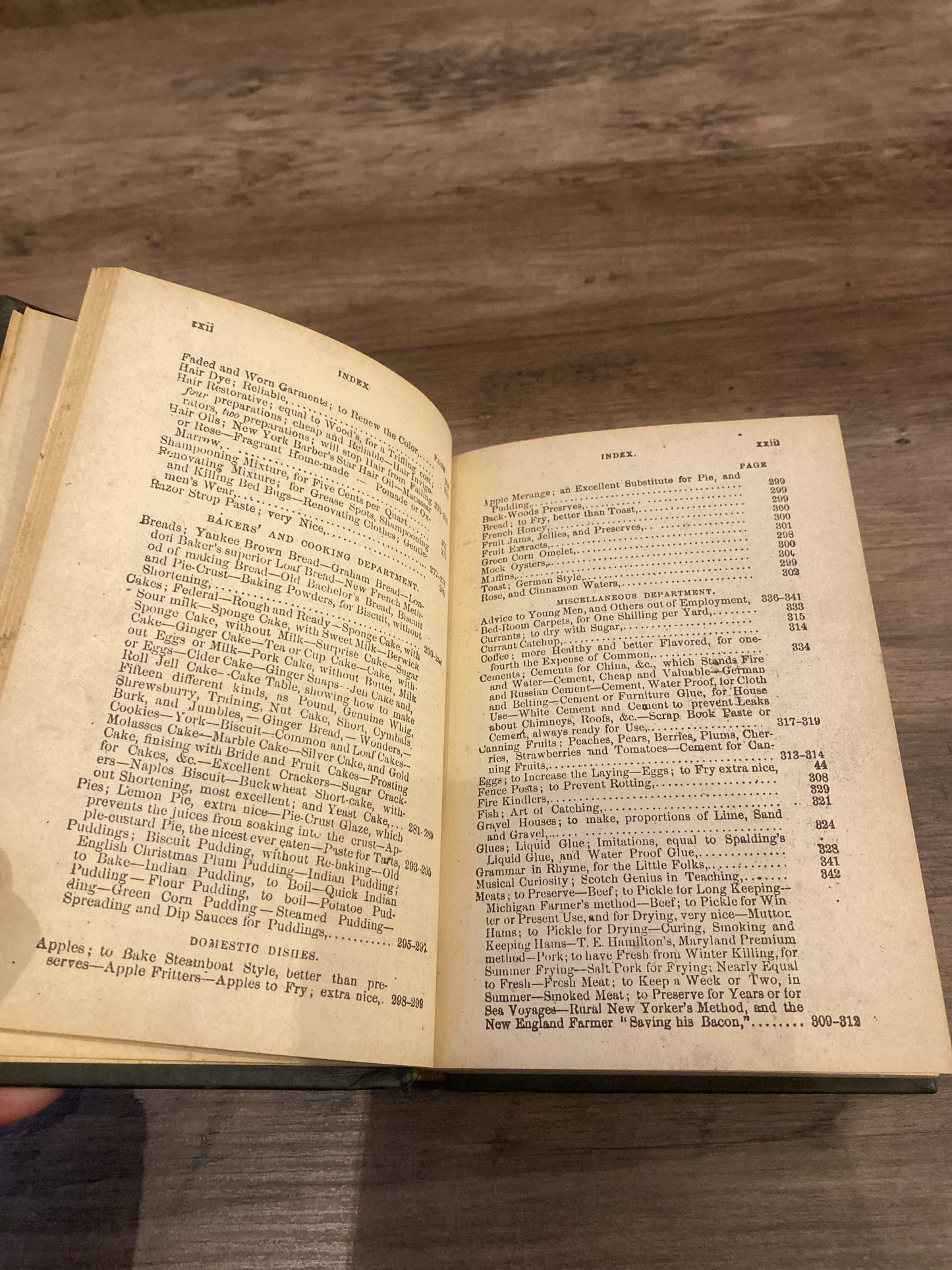 Dr. Chase’s Recipes by A.W. Chase