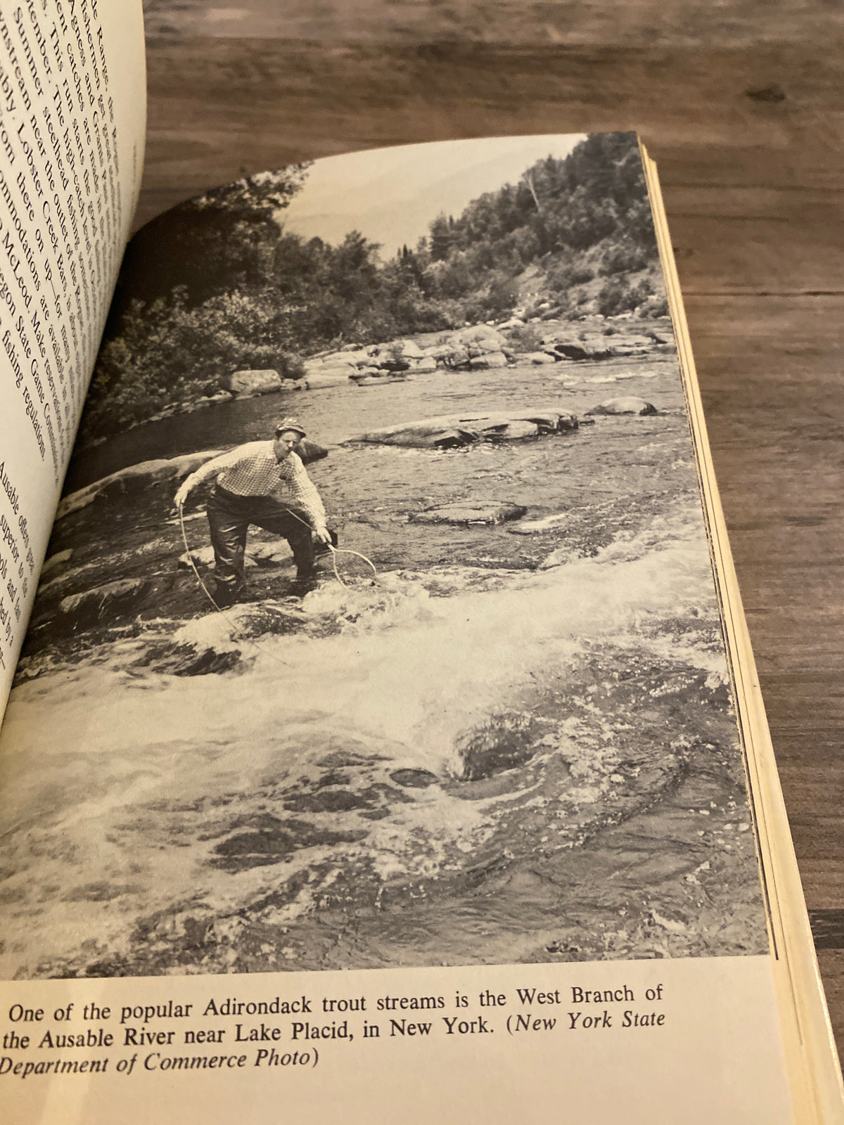 Trout Fishing by Ted Kesting