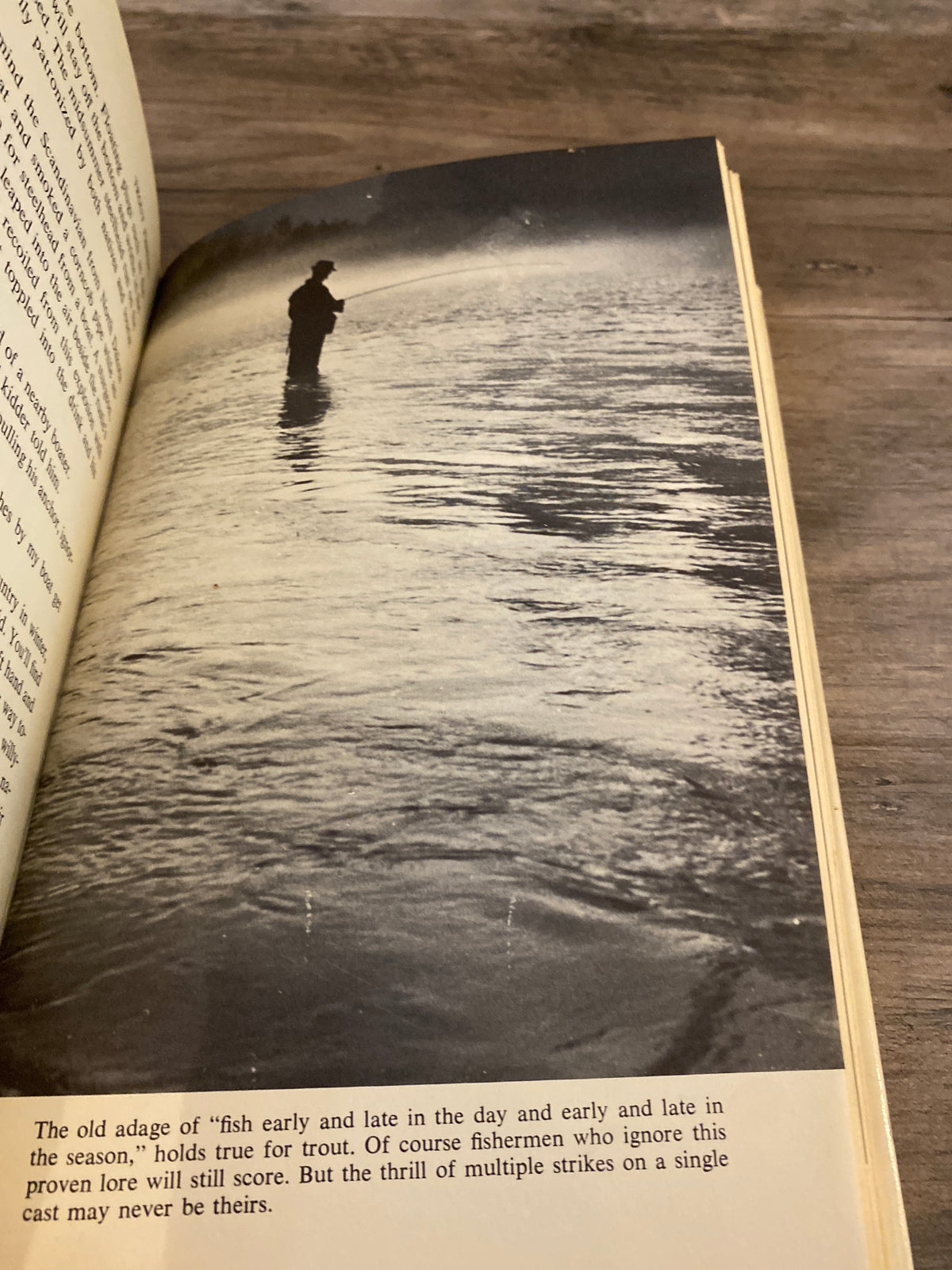 Trout Fishing by Ted Kesting
